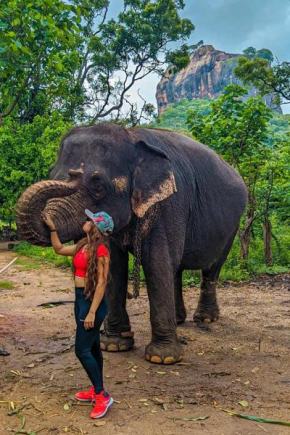 Lakmal Homestay ,10 minutes to Sigiriya Rock